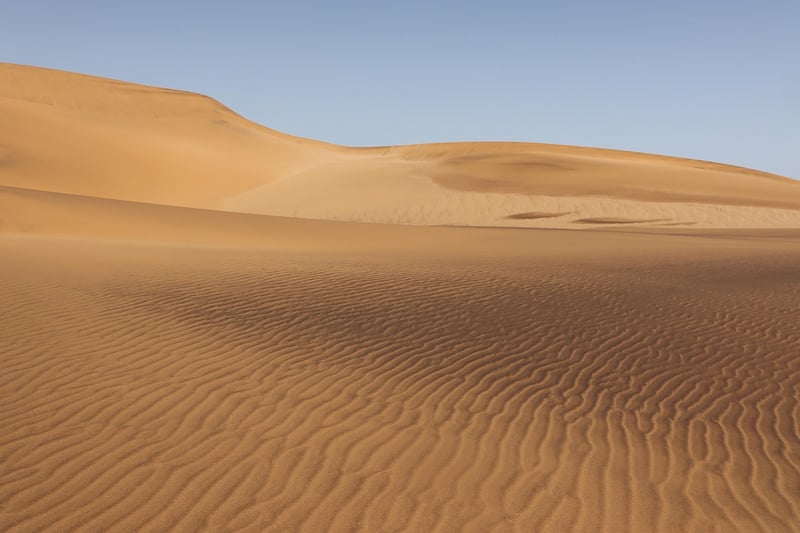 Desert Expedition