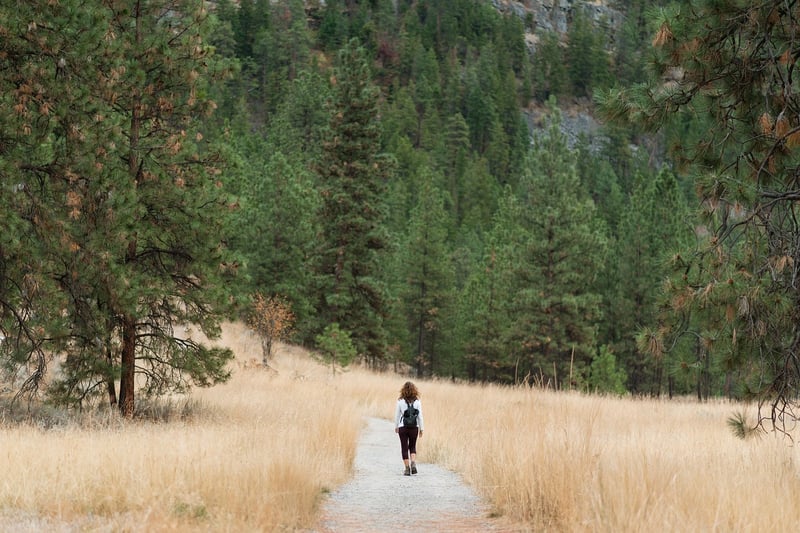 Hiking in Mountains