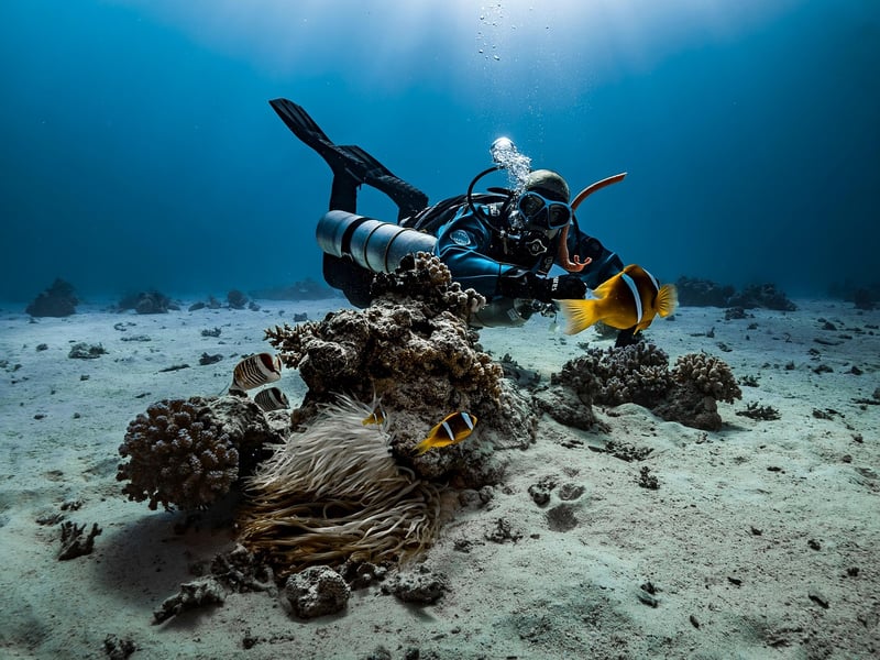 Scuba Diving in Ocean
